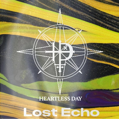 lost echo官方下载,权威分析说明_经典款_v4.871