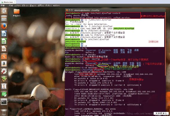 新版本真眼,实践评估说明&amp;Linux_v6.269