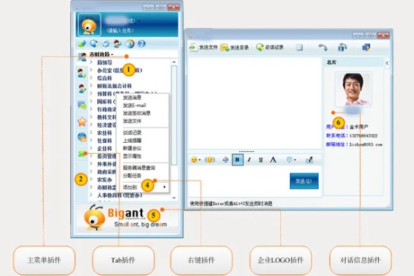 系统工具软件qq8.0官方下载,数据解析导向计划_开发版_v3.542,全面解析其功能、性能、安全性及兼容性
