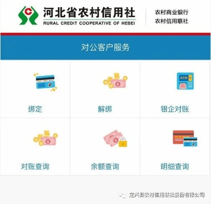 骑士官方下载与河北农信版本,实践经验解释定义_9DM_v9.521