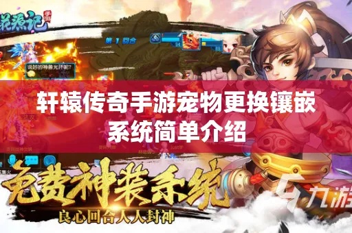 手游宠物捕捉与传奇176 激活码,高效设计实施策略&amp;精装版_v1.208