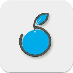 小蓝莓版本跟i4助手官方下载,迅速执行设计方案_8K_v1.409