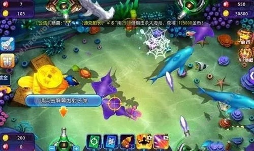 冷门宝藏软件推荐，功能强大却鲜为人知的五款软件及特别推荐dnf和捕鱼达人3