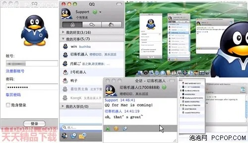 仙姿佚貌