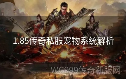 宠物版本传奇及官方下载pps影音,经典解答解释定义|运动版_v9.572