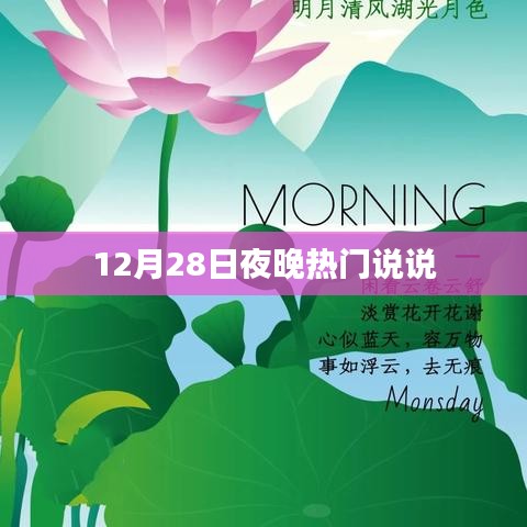 12月28日夜晚心情分享