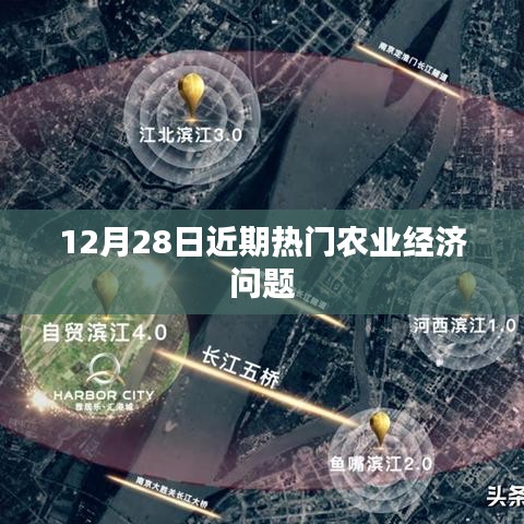 12月28日农业经济的热点议题解析