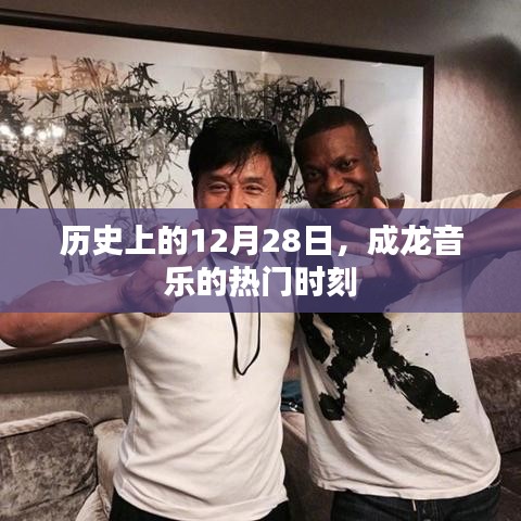 成功案例 第219页