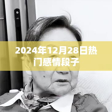 精选感情段子，感动心灵，2024年热门情感语录