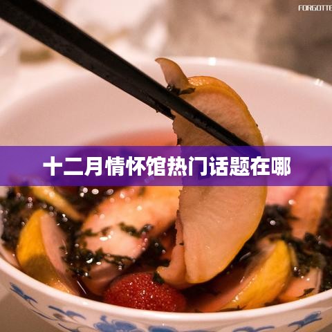 十二月情怀馆话题热点解析