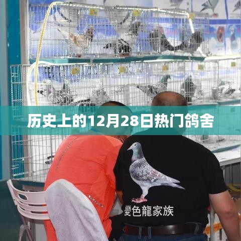 历史上的大事件，12月28日热门鸽舍回顾