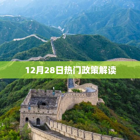 政策解读，最新热点分析（12月28日）