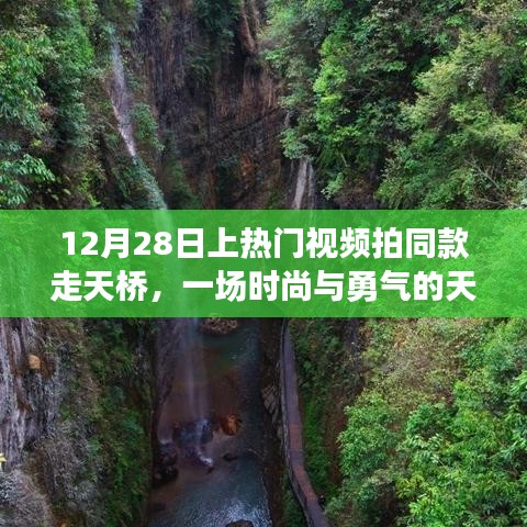 成功案例 第218页