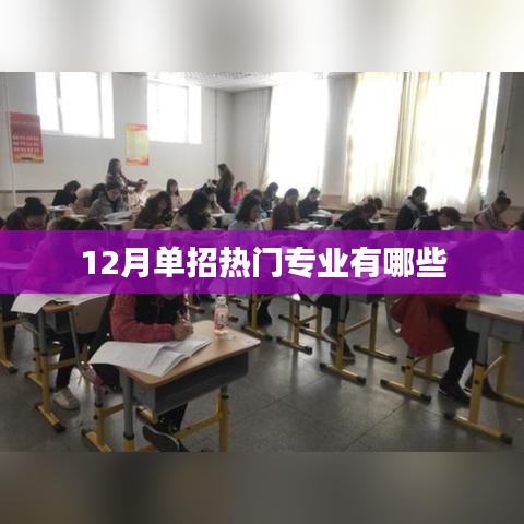 12月单招热门专业一览