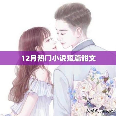 短篇甜文，12月热门小说精选