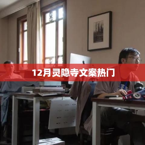 成功案例 第217页