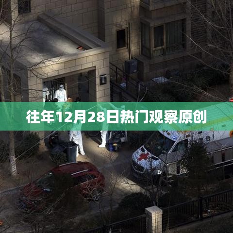 往年12月28日热门观察盘点