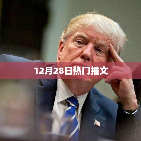 12月28日热门推文盘点