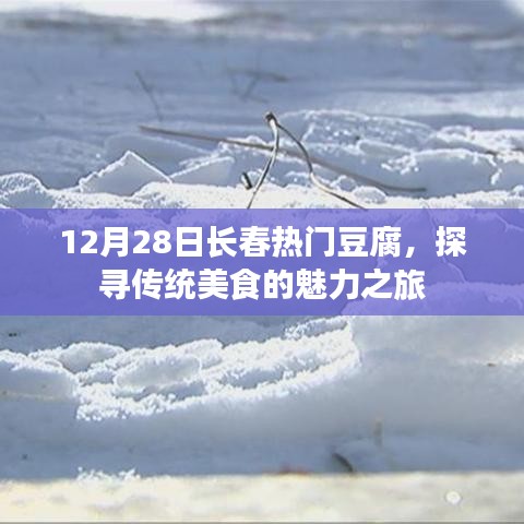 探寻长春豆腐魅力之旅，传统美食盛宴