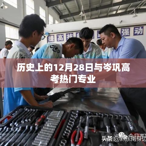 岑巩高考热门专业及历史12月28日概述