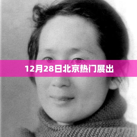 北京热门展览，精彩活动一览