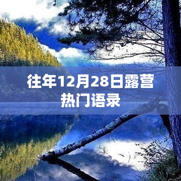 露营热门语录盘点，历年12月28日的精彩回顾