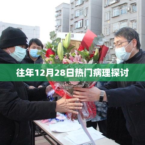 往年12月28日热门病理深度解析