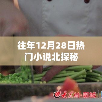 往年12月28日热门小说深度探秘