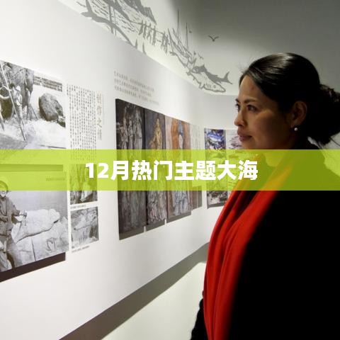 12月热门主题，探索大海的奥秘