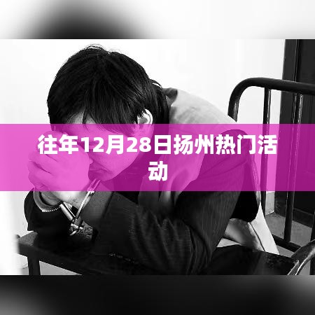 扬州往年12月28日盛事盘点