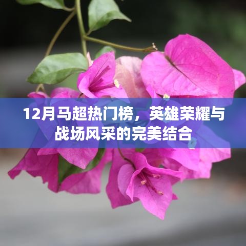 12月马超英雄榜，荣耀战场之风采展示