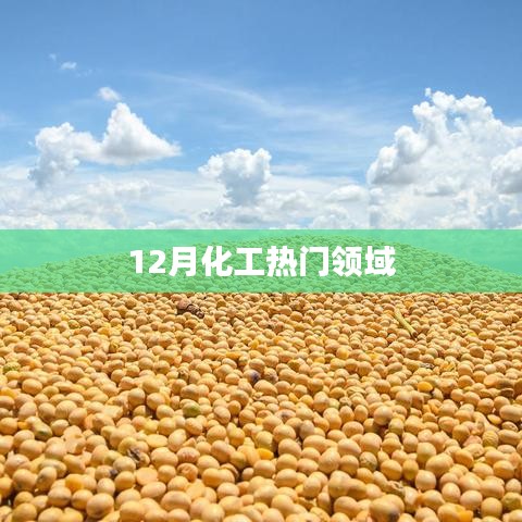 12月化工热门领域概览