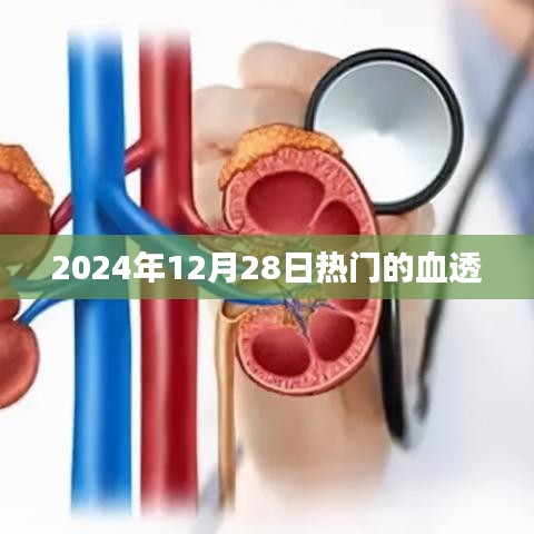 血透热门资讯，透析市场发展趋势与前沿技术解析