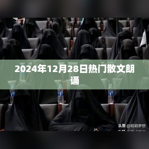 散文朗诵盛宴，2024年12月精选篇章
