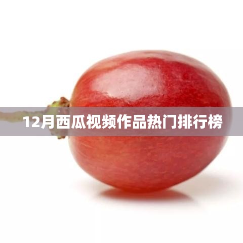 12月西瓜视频热门作品排行榜揭晓
