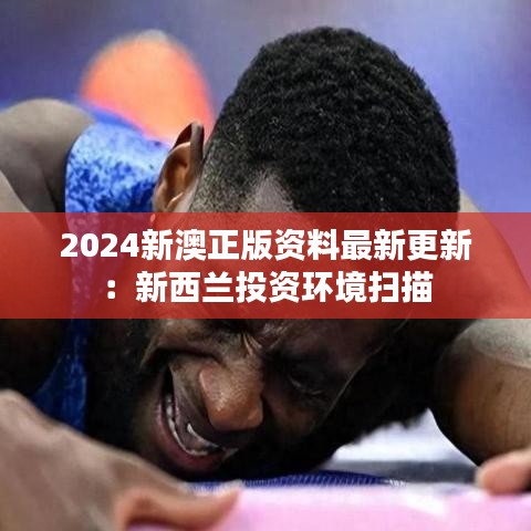2024新澳正版资料最新更新：新西兰投资环境扫描