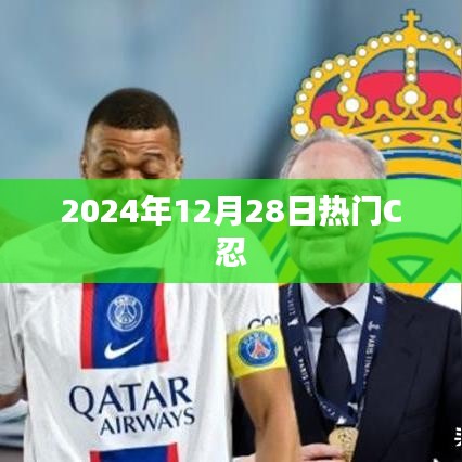 热门C忍，揭秘2024年12月28日最强忍者阵容