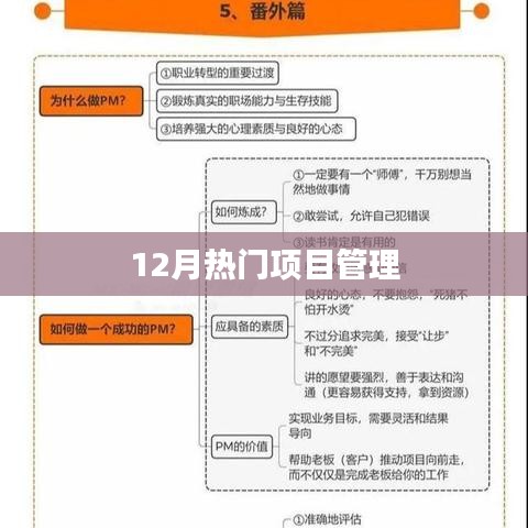 最新热门项目管理趋势解析
