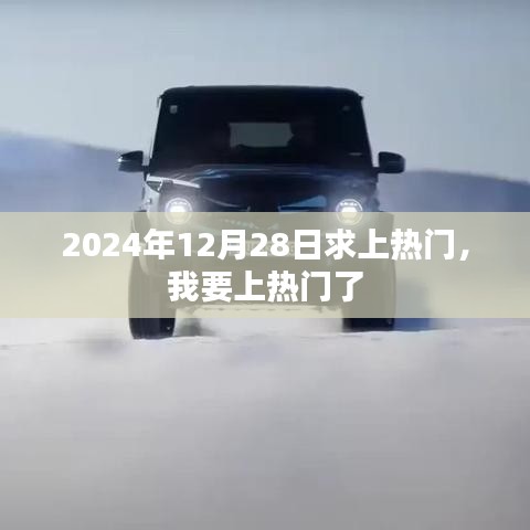 2024年12月28日热门冲刺，我要上热门！