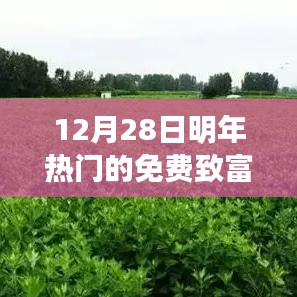 未来热门致富项目，免费商机大盘点