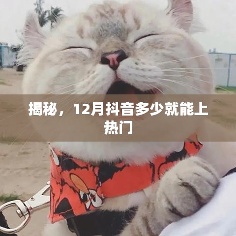 揭秘抖音上热门门槛，十二月需要多少流量？