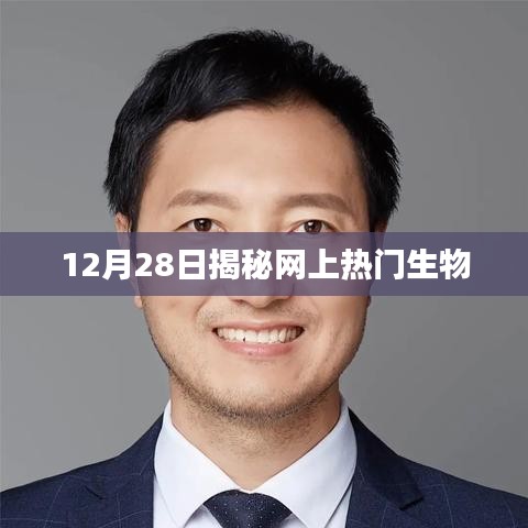 揭秘十二月热门生物，最新动态一网打尽