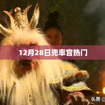 兜率宫热门活动揭秘，12月28日盛况