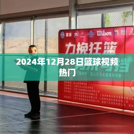 篮球视频热点解析，2024年12月28日聚焦之战