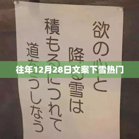往年12月28日雪落纷飞，冬日文案热门回顾