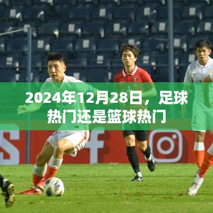 体育热点，足球与篮球哪个更热门？