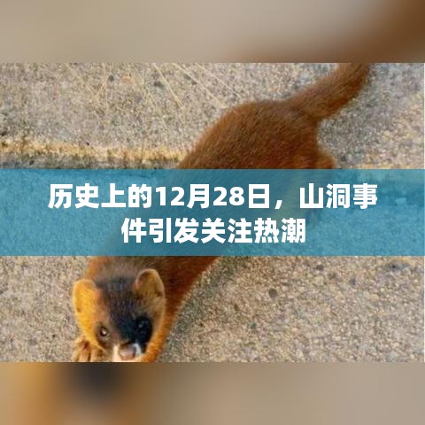 历史上的大事件，山洞事件引发关注潮
