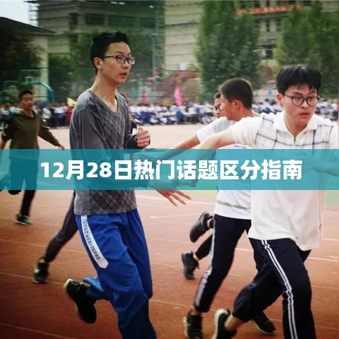 12月28日热门话题解读指南