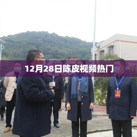 12月28日陈皮视频大热