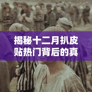 揭秘十二月扒皮贴背后的真相